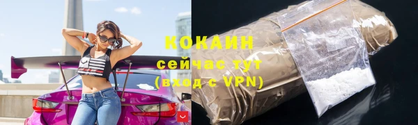 прущие грибы Нязепетровск