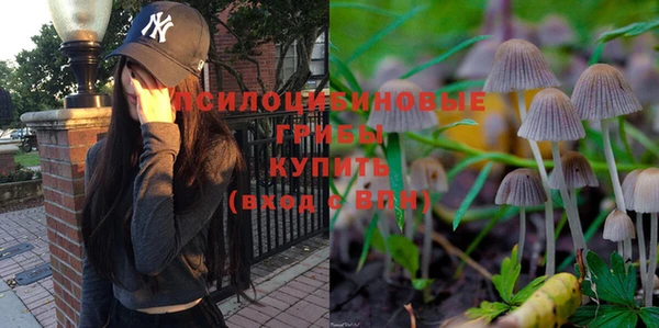 прущие грибы Нязепетровск