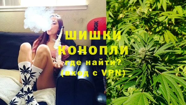 прущие грибы Нязепетровск