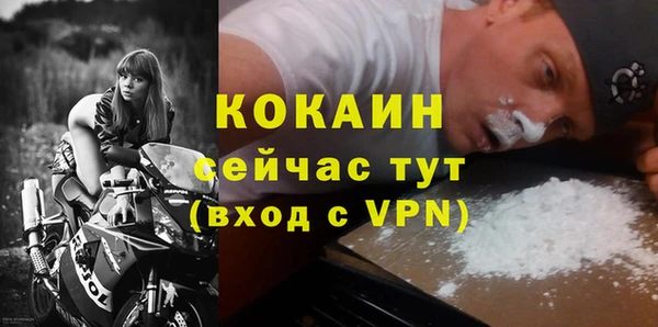 тгк Няндома