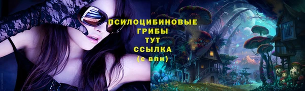 тгк Няндома