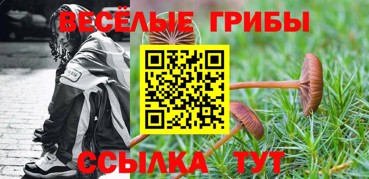 сколько стоит  Галлюциногенные грибы Psilocybine cubensis  Боровичи  Вход с VPN  Псилоцибиновые грибы мицелий 