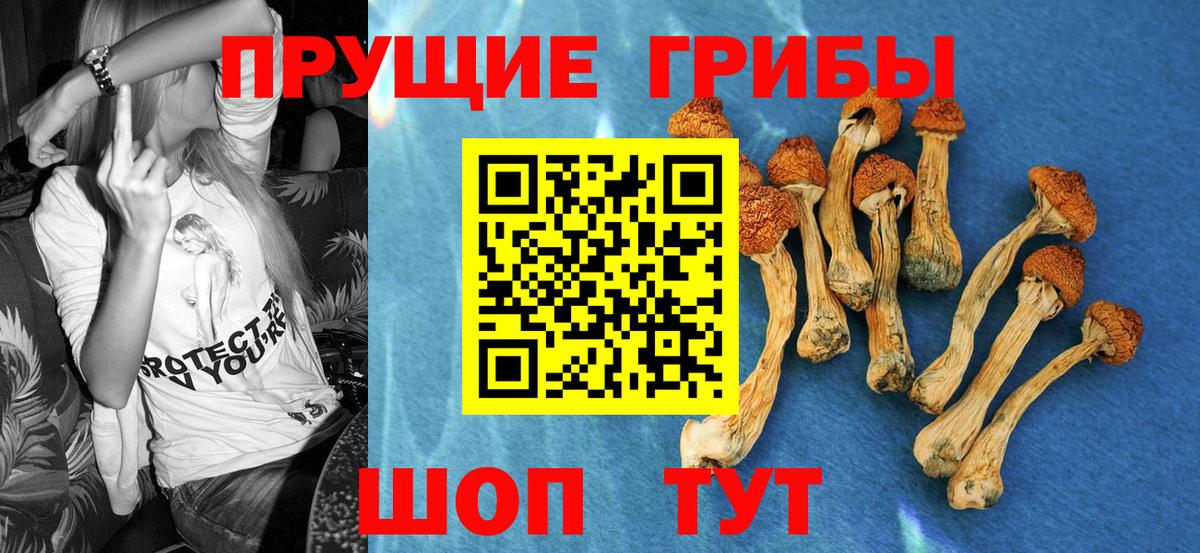 Галлюциногенные грибы прущие грибы Боровичи